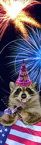 Independence Day Photograph - New Year Raccoon # 520 by Jeanette K