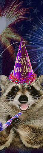 Independence Day Photograph - New Year Raccoon # 523 by Jeanette K