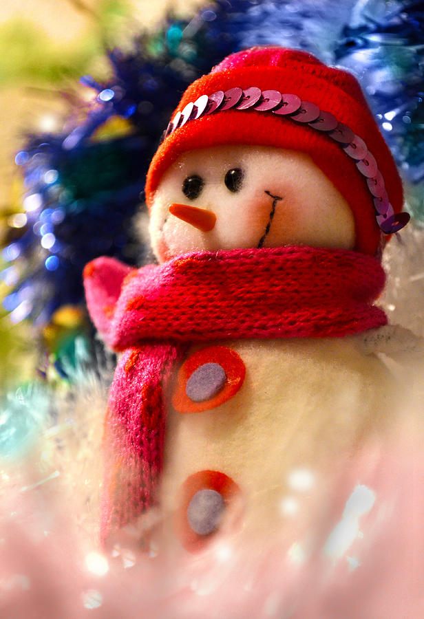 Winter Photograph - New Year Snowman by Irina Effa