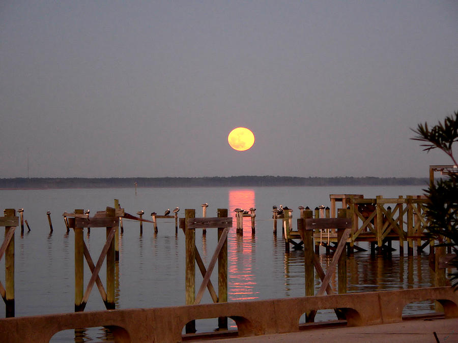 New Years Eve Blue Moon On The Bay Photograph by Kathy K McClellan