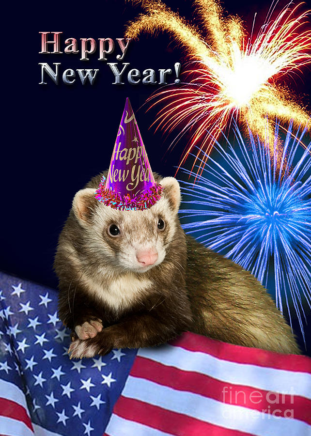 Nature Photograph - New Years Ferret by Jeanette K
