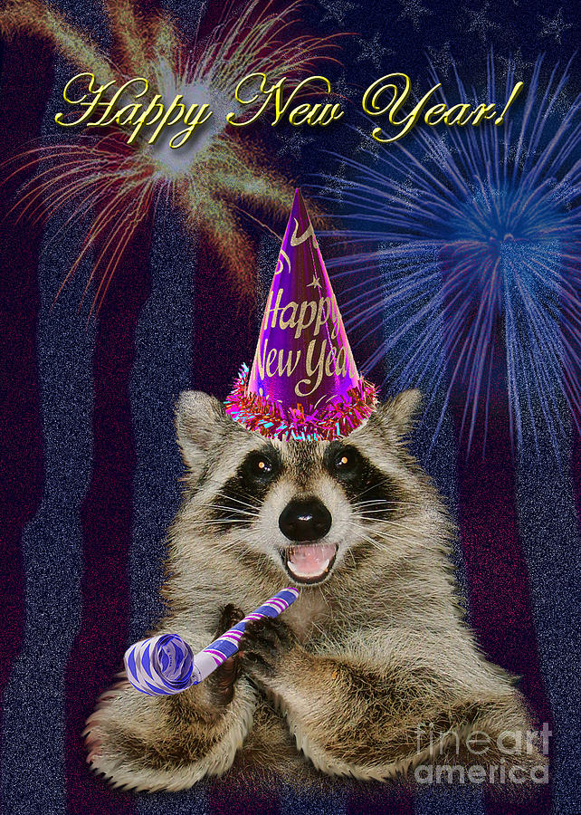 Nature Photograph - New Years Raccoon by Jeanette K