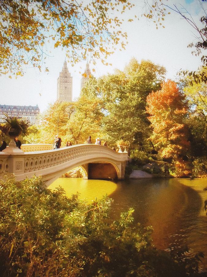 New York Autumn Central Park Bow Bridge Photograph By Vivienne