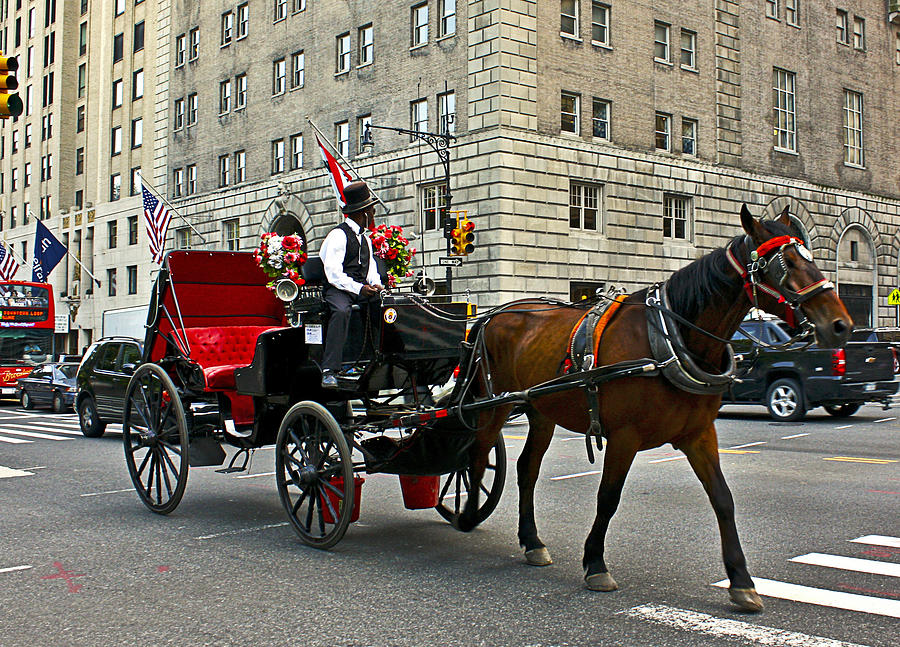 New York Carriage Photograph by Daniel Hyman - Fine Art America