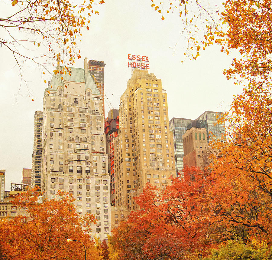 New York City - Autumn - Central Park Foliage Photograph by Vivienne Gucwa