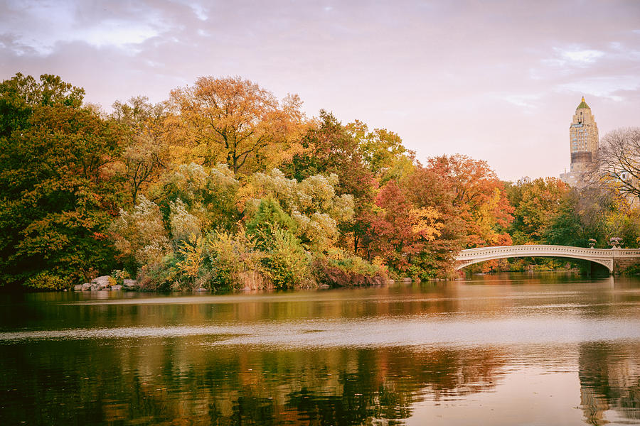 New York City - Autumn - Central Park - Lake and Bow Bridge Photograph ...
