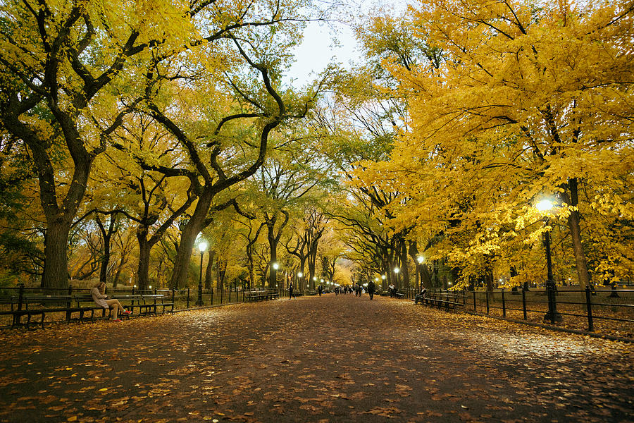 New York City Photograph - New York City - Autumn - Central Park - Literary Walk by Vivienne Gucwa