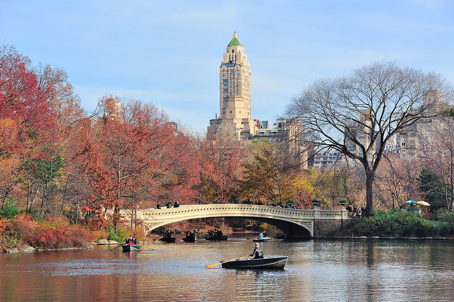 New York City Central Park Photograph by Songquan Deng