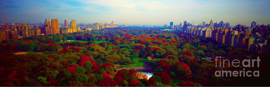 New York City Central Park South Photograph by Tom Jelen