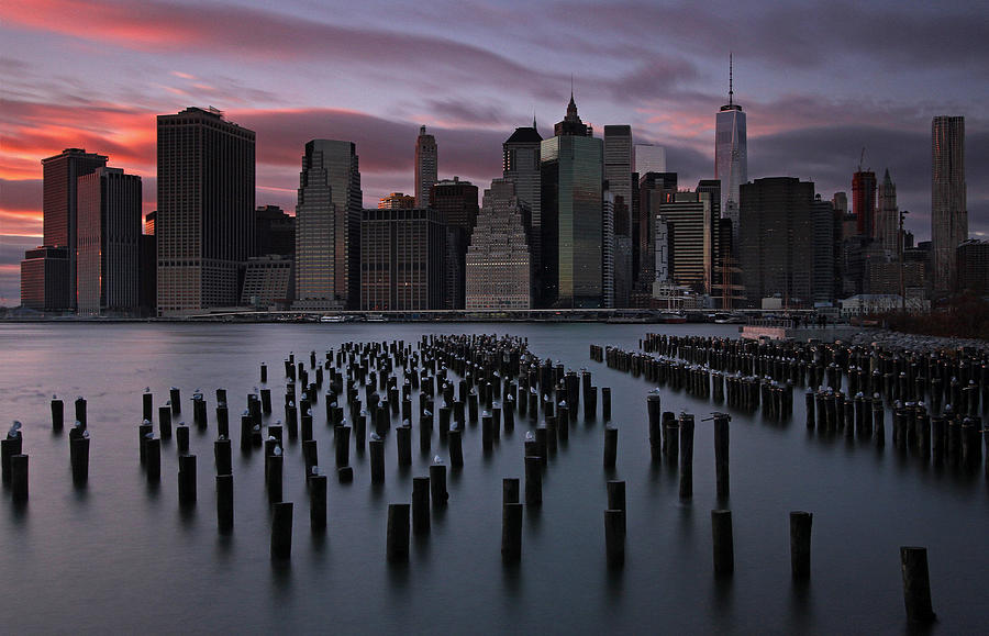 New York City FIDI Photograph by Juergen Roth