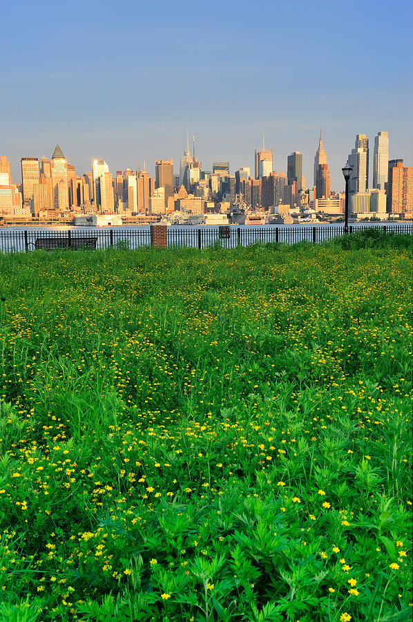 New York City Manhattan with lawn Photograph by Songquan Deng