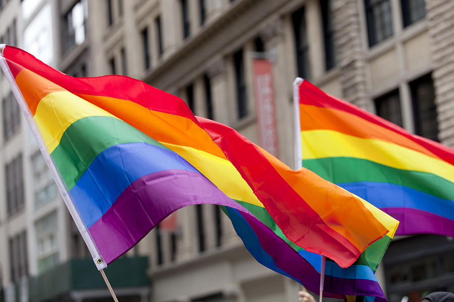 New York City Pride Parade - Flags Photograph by Aneese