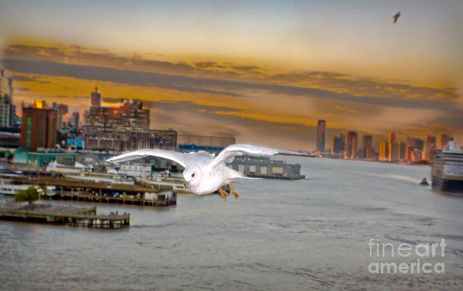 New York Harbor Sunrise Photograph by Gary Keesler