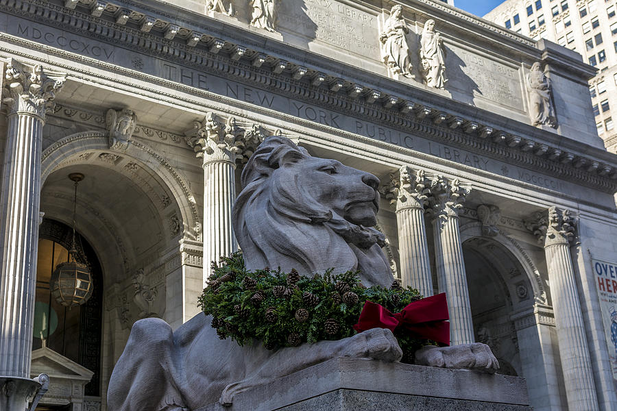 New York Public Library Photograph by David Morefield