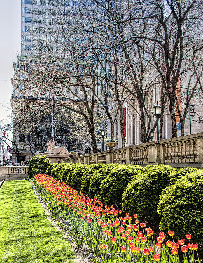 New York Public Library Photograph by Nancy Wilt | Fine Art America