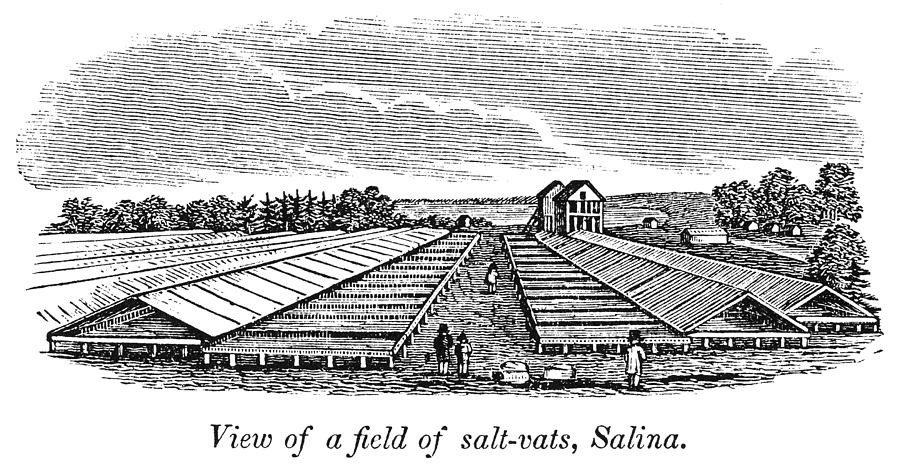Farm Painting - New York Salina, 1841 by Granger