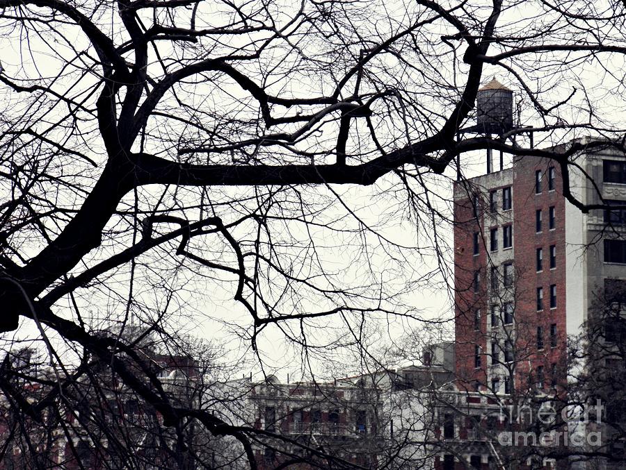 City Photograph - New York Winter Day 2 by Sarah Loft