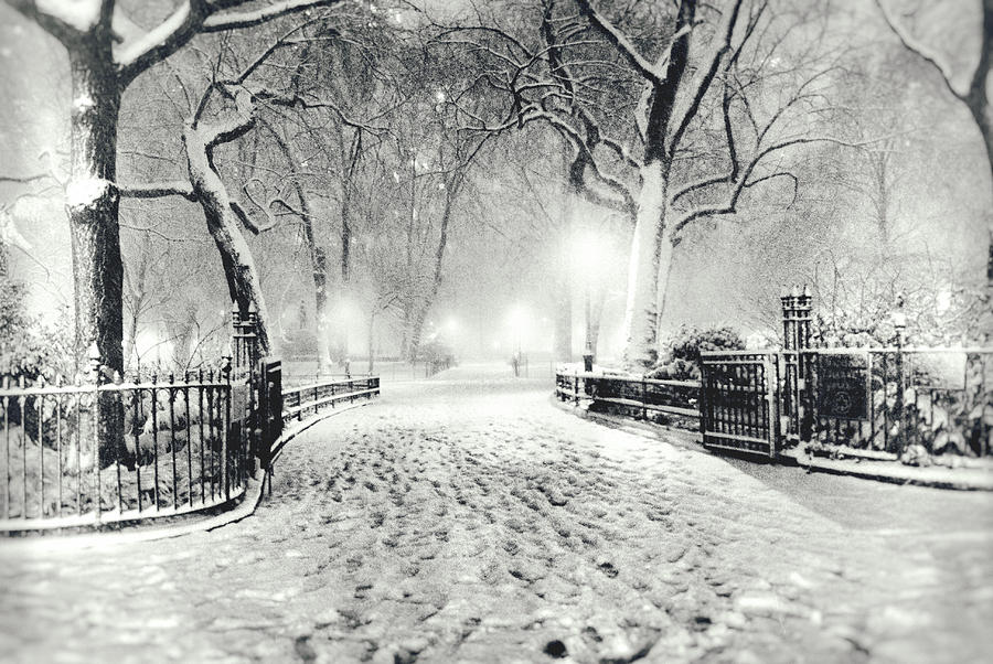 New York Winter Landscape - Madison Square Park Snow Photograph by Vivienne Gucwa