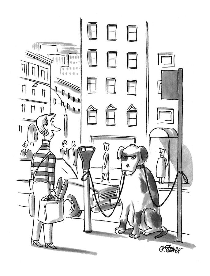 New Yorker April 25th, 1994 Drawing by Peter Steiner