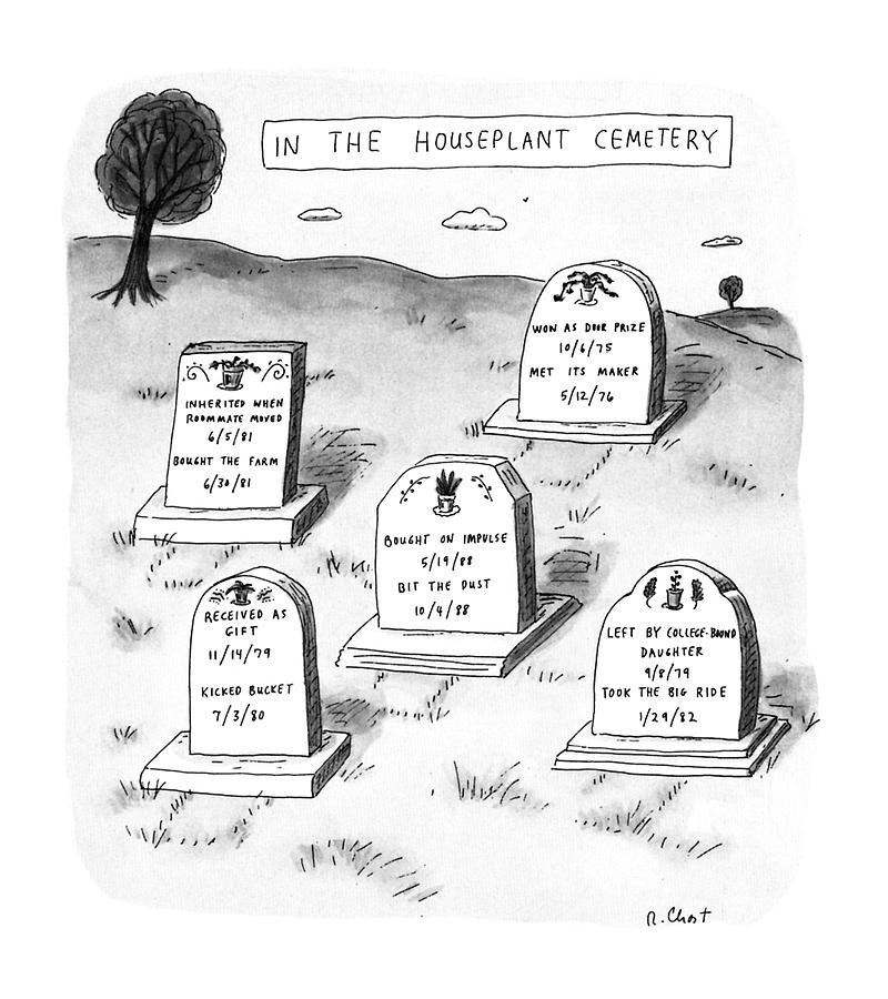 New Yorker April 29th, 1991 Drawing by Roz Chast