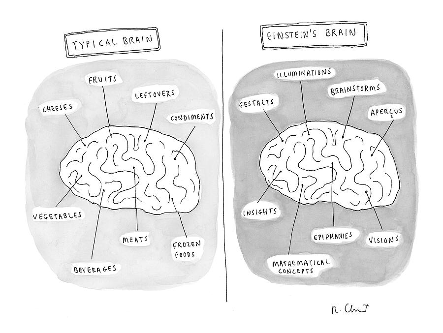 New Yorker July 5th, 1999 Drawing by Roz Chast New Yorker July 5th, 1999 Drawing by Roz Chast
