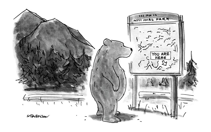 New Yorker June 18th, 1990 Drawing by James Stevenson