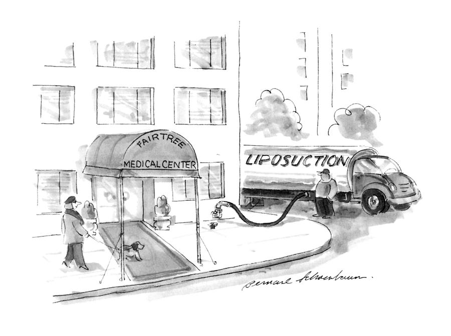 New Yorker May 20th, 1996 Drawing by Bernard Schoenbaum