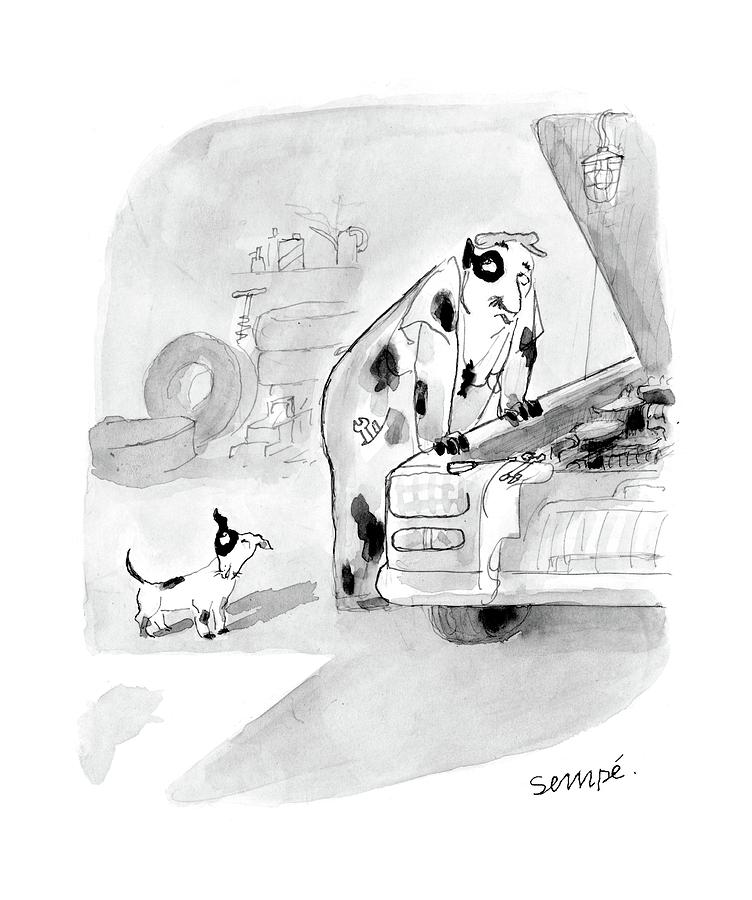 New Yorker May 23rd, 2005 Drawing by Jean-Jacques Sempe