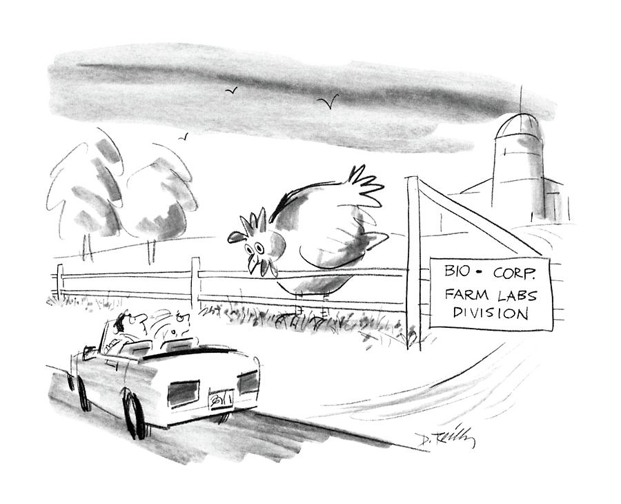 New Yorker November 2nd, 1987 Drawing by Donald Reilly