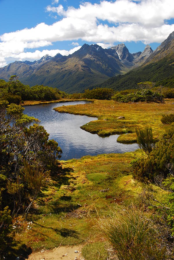 New Zealand Alpine Landscape Photograph by Cascade Colors