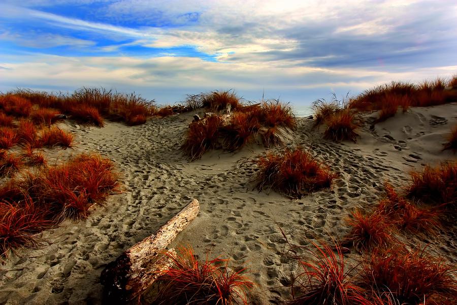 New Zealand Beach Photograph by Amanda Stadther