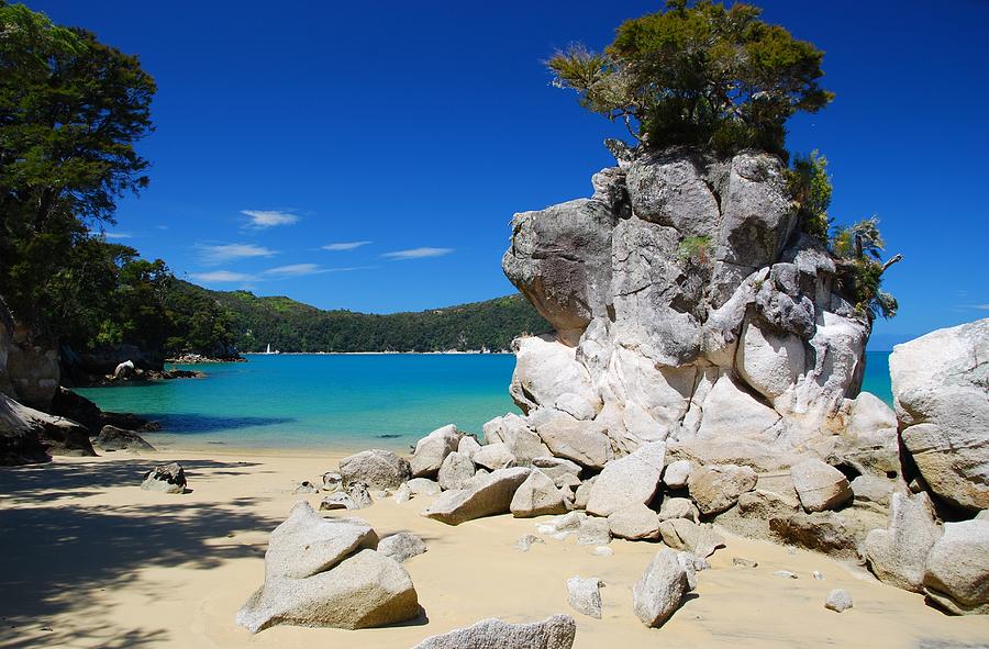 New Zealand Beach and Cove Photograph by Cascade Colors
