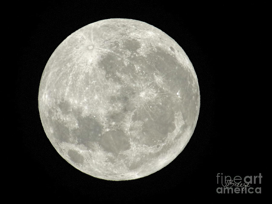 New Zealand Moon Photograph by Jennie Breeze
