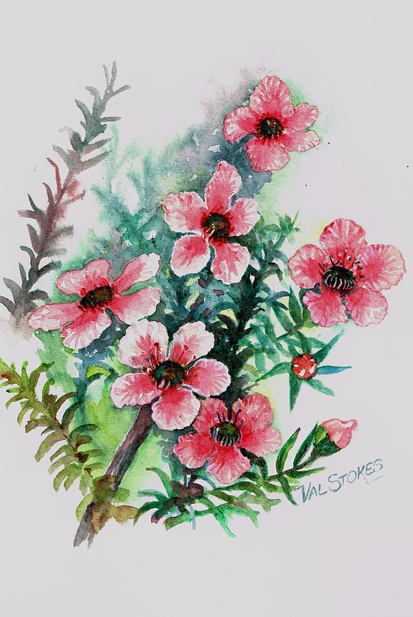 New Zealand Native Manuka Painting By Val Stokes