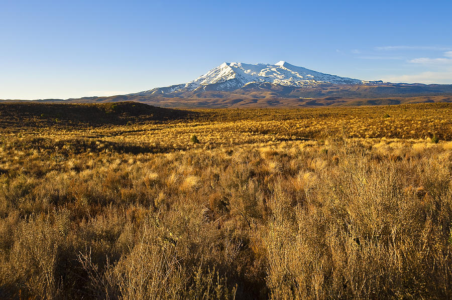 Tongariro National Park Photograph - New Zealand Outback by Ng Hock How
