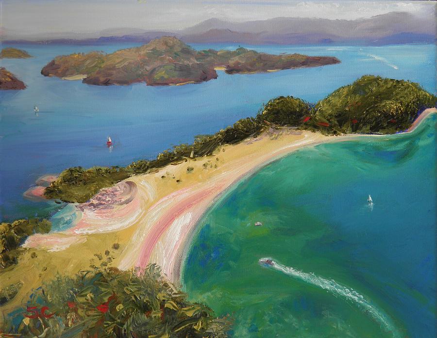 New Zealand Roberton Island Painting by Sharon Casavant