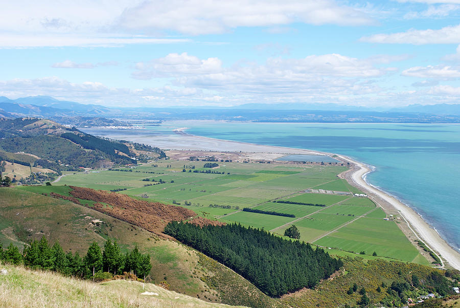 New Zealand Rural Scene Photograph by Lazingbee