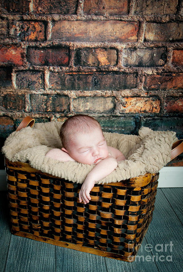 Newborn Photograph by Alana Ranney