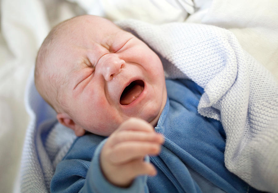 Newborn Babies Crying Ubicaciondepersonas Cdmx Gob Mx   Newborn Baby Boy Crying Samuel Ashfieldscience Photo Library 