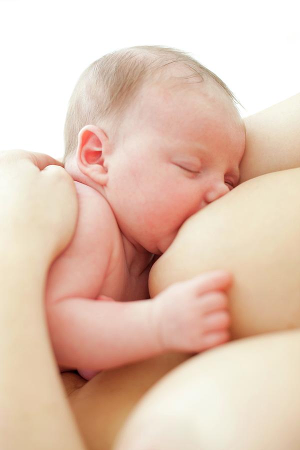 Baby breastfeeding - Stock Image - M831/0331 - Science Photo Library