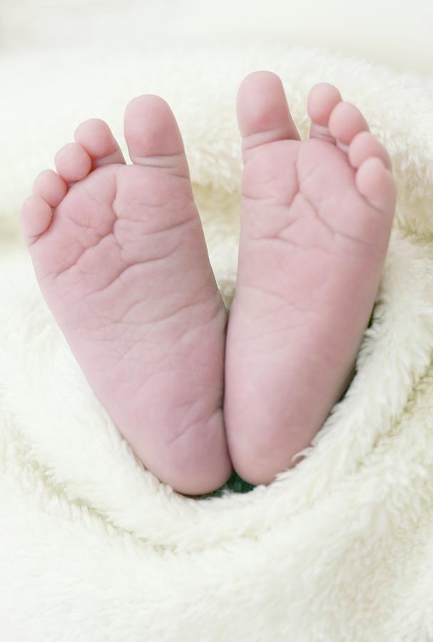 Newborn Babys Feet Photograph by Ian Hooton/science Photo Library