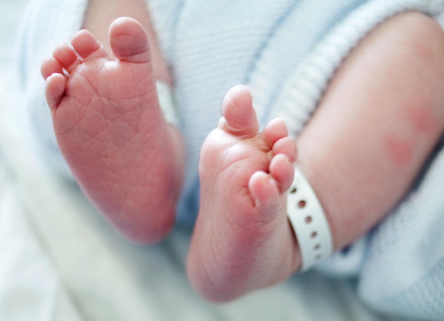 Newborn Baby's Feet Photograph by Samuel Ashfield/science Photo Library