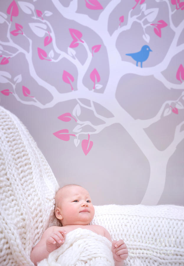 Newborn girl in cute baby room Photograph by Anna Om