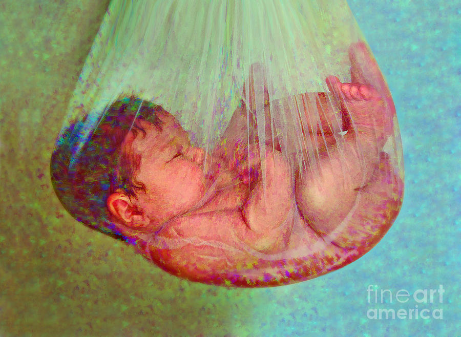 Baby Photograph - Newborn Womb by Crista Aldridge