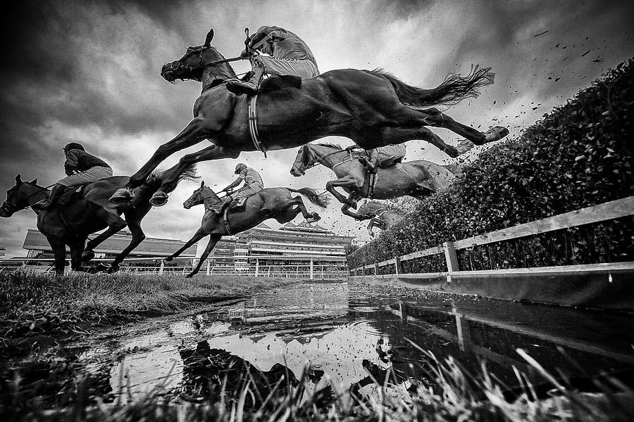 Newbury Races Photograph by Alan Crowhurst