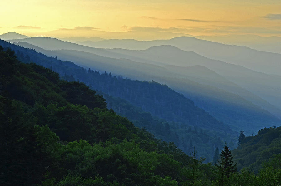 Newfound Gap Morning Photograph By Eric Albright - Fine Art America