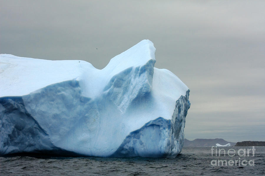 Newfoundland Icebergs Photograph by Charline Xia