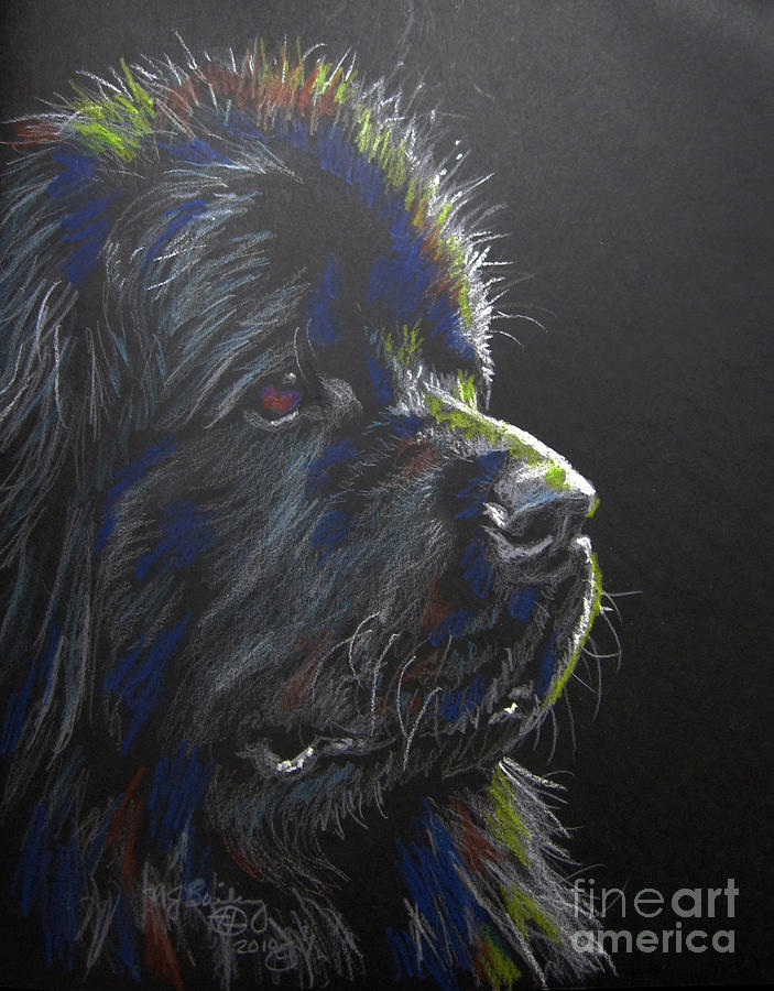 Dog Pastel - Newfoundland by Nancy J Bailey