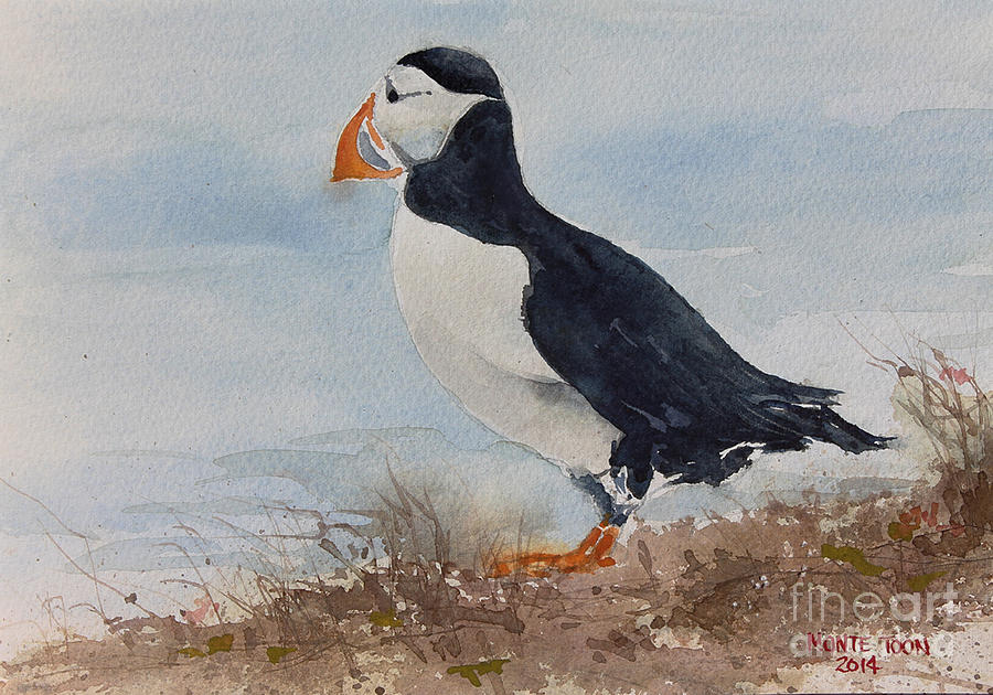 Newfoundland Puffin Painting by Monte Toon