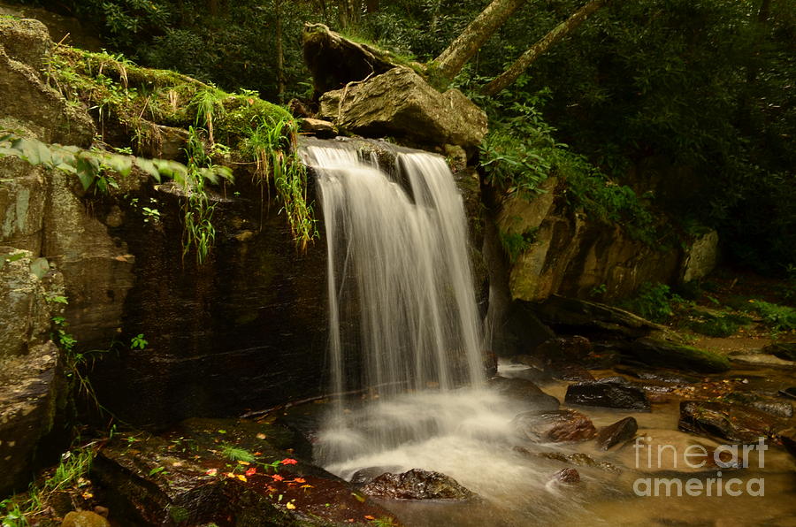 Newland Falls 3 Photograph By Jayme Braun Fine Art America 0229